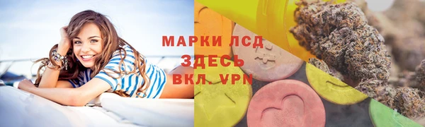 крисы Армянск