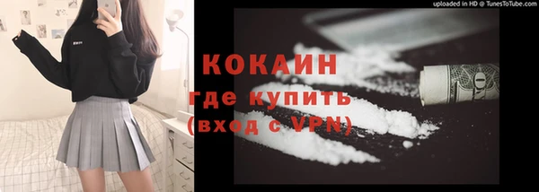 шишки Богородск