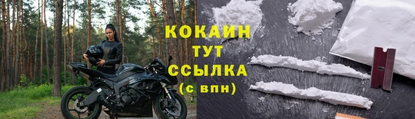 крисы Армянск